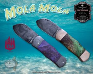 2023 Excelsior Mola Mola Group Boxelder