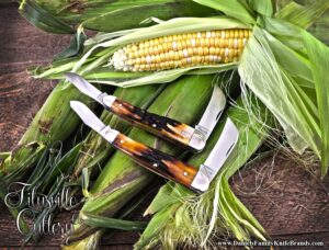 2024 Titusville Cutlery Rooster Comb Amber Stag Group