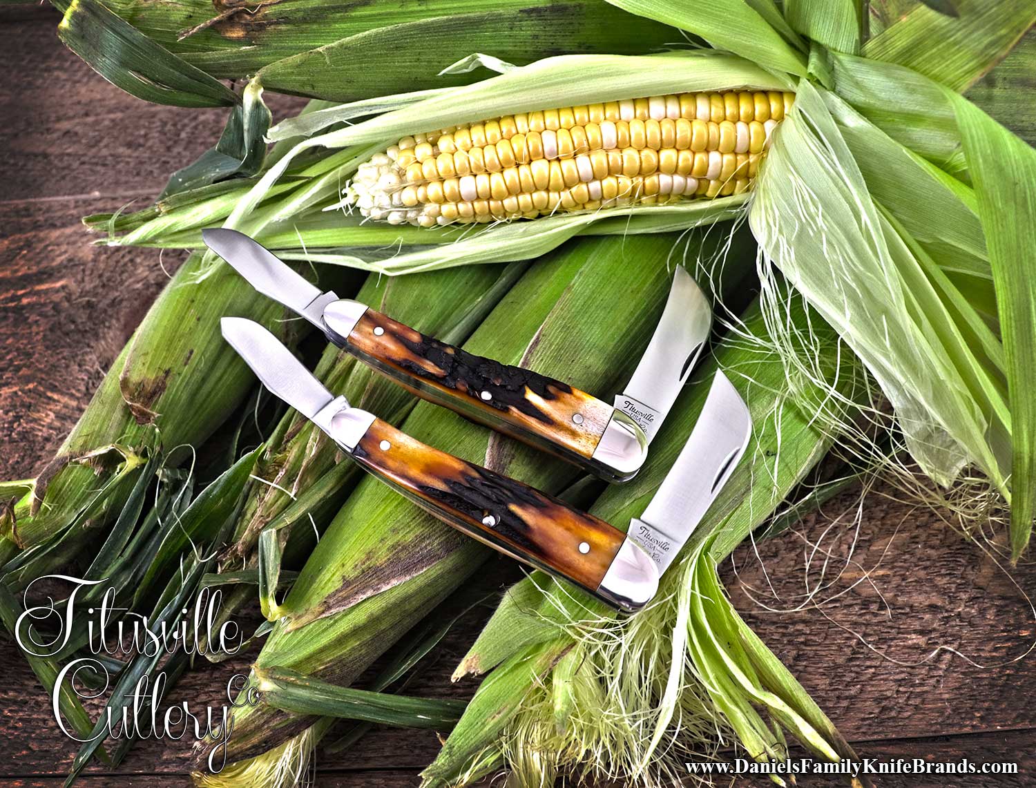 2024 Titusville Cutlery Rooster Comb Amber Stag Group